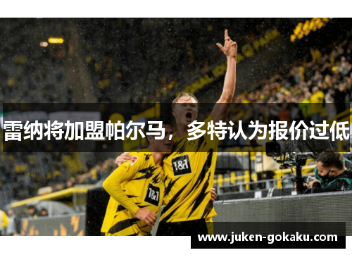 雷纳将加盟帕尔马，多特认为报价过低